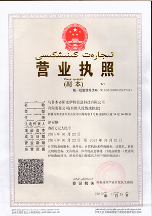 乌鲁木齐阳光伊特信息科技有限公司营业执照